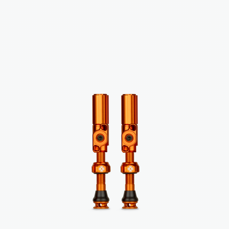 Big Bore Hybrid Tubeless Valves - Clearance Colours